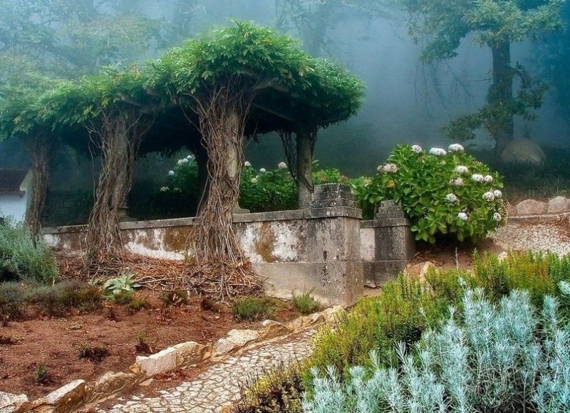 Old garden in the city of Sintra, Portugal