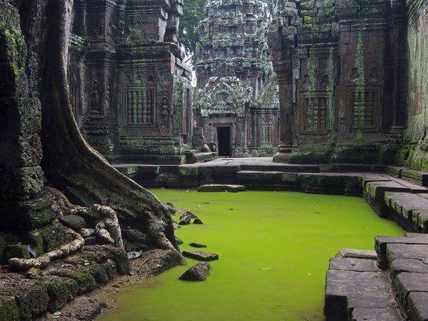 In the ancient temple of Ta Prohm, Cambodia
