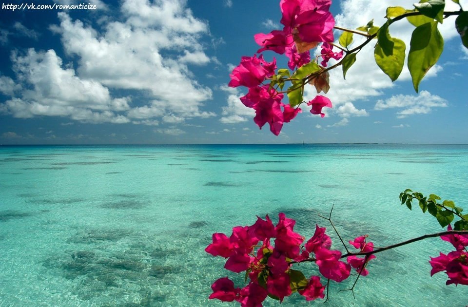 Райский островок Факарава, Французская Полинезия
