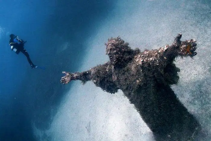 Under the water