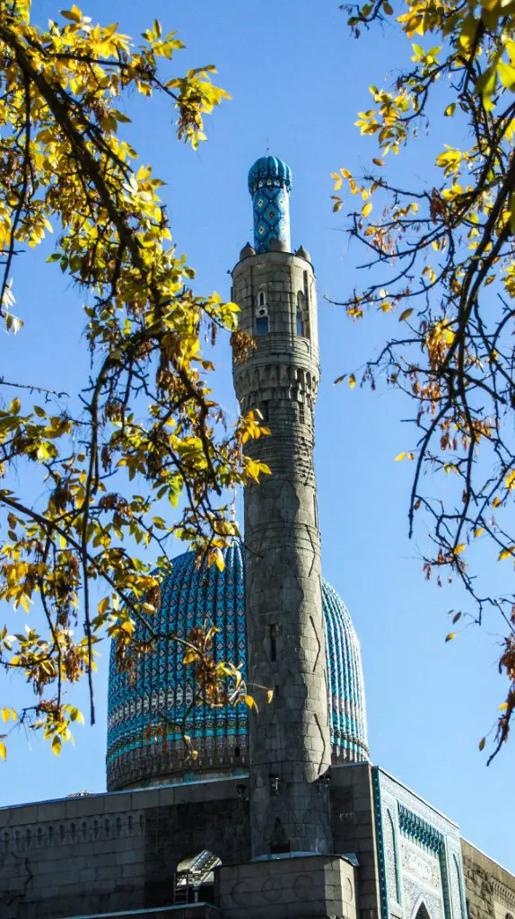 Неожиданно прекрасное начало Питерской осени