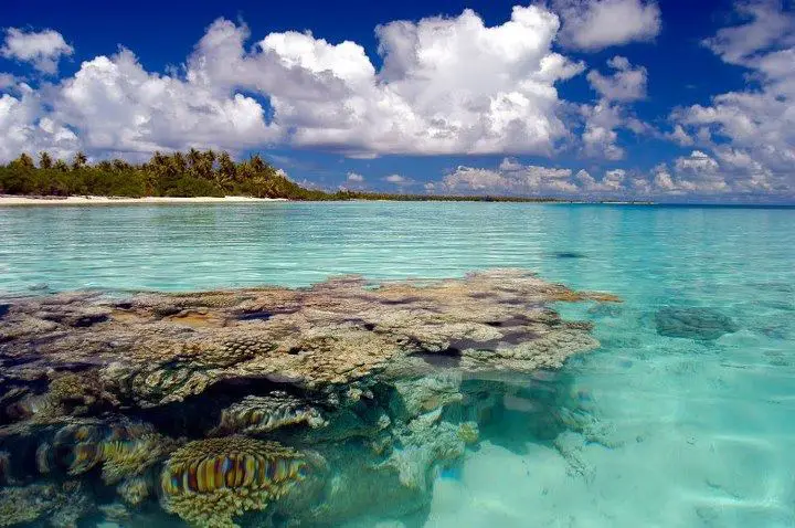 French polynesia