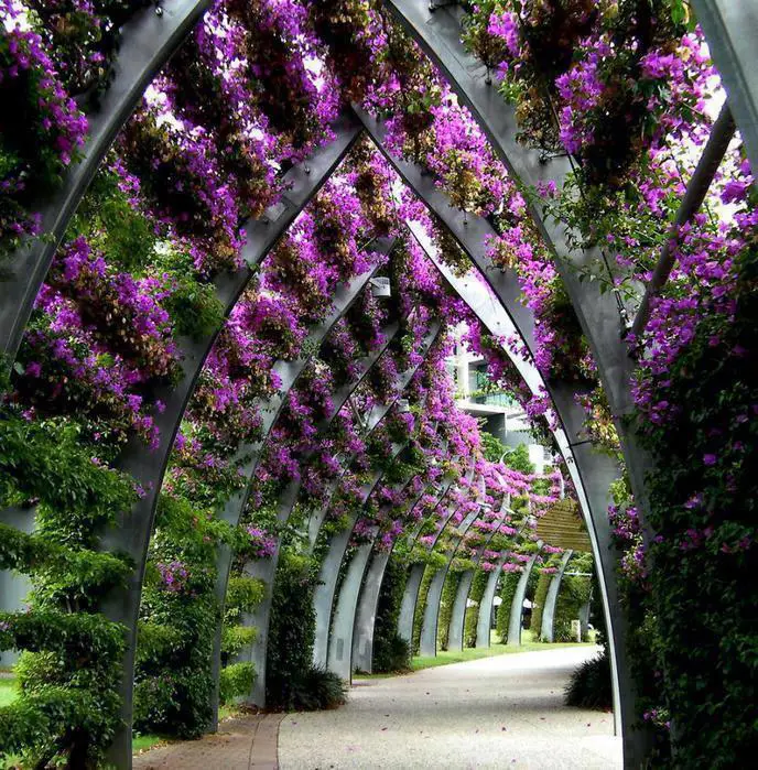 Queensland, Australia