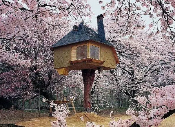 Japanese Terunobu Fujimori, from the very childhood loved houses in the trees