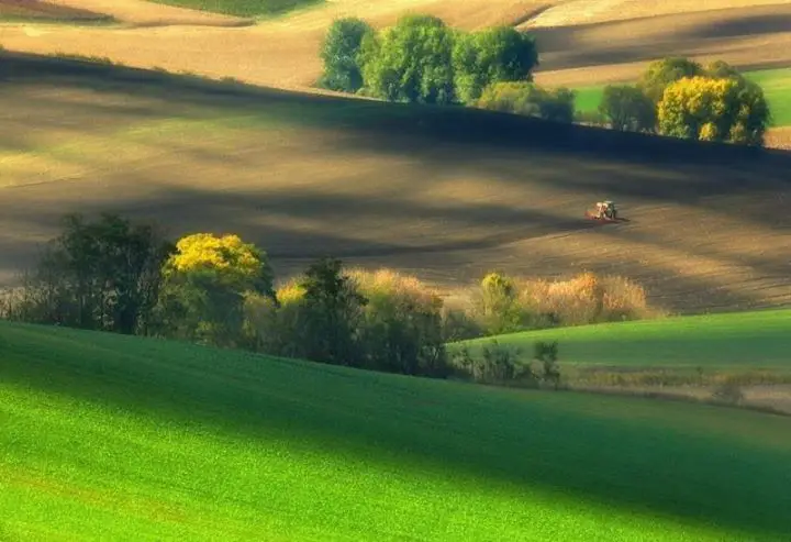 Fields