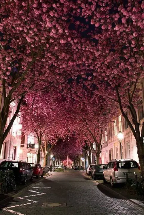 The most romantic place