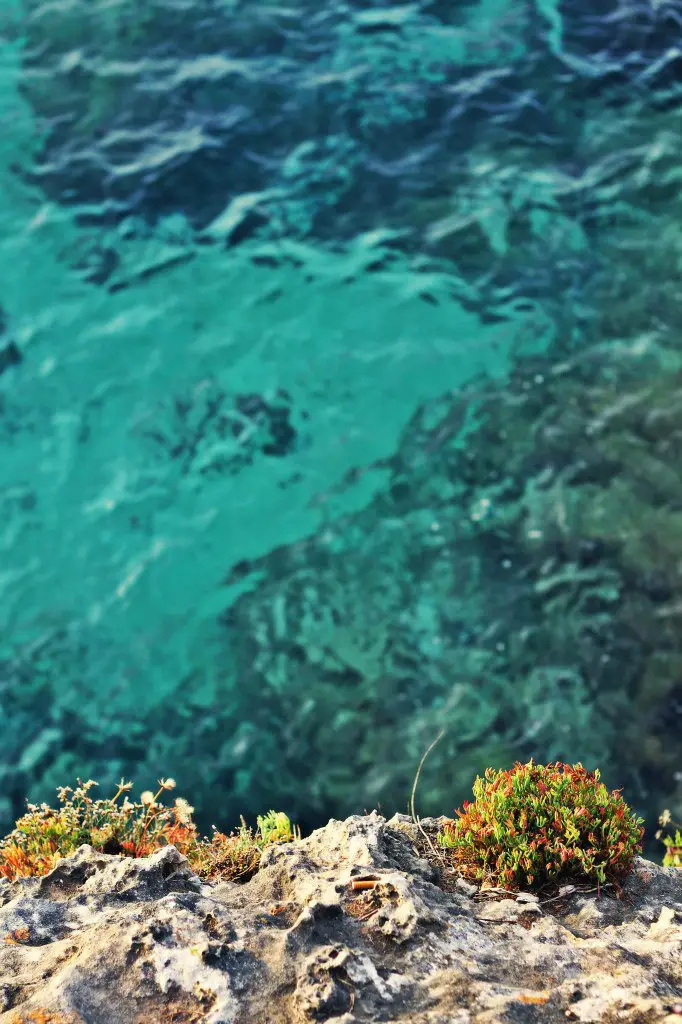 Spain, Majorca