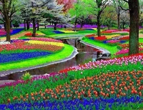 Keukenhof Park near Amsterdam, Netherlands.