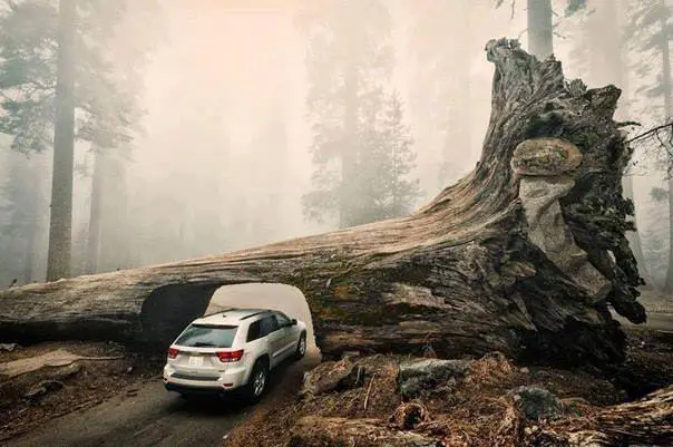 National Park in California.