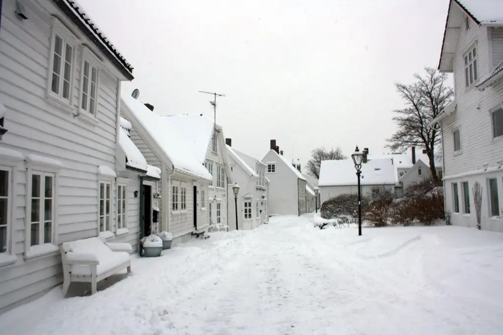 Winter in the suburbs of London