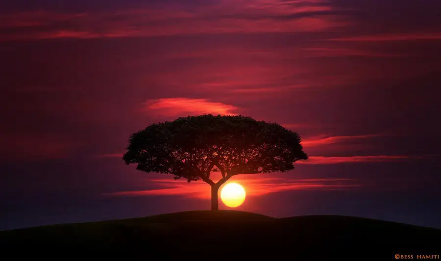 Sunset in the field, Great Britain