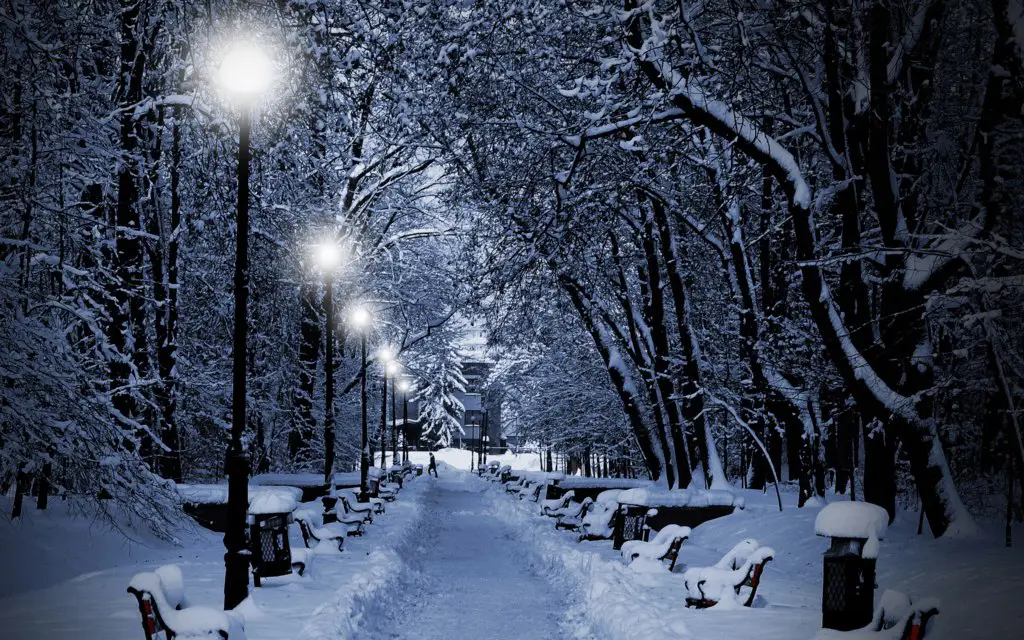 Winter in the park of a small town