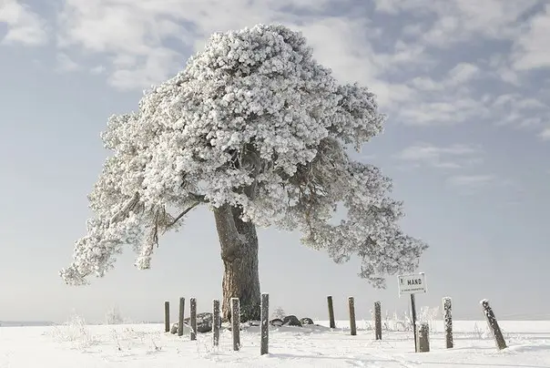 Winter in Lääne-Virumaa