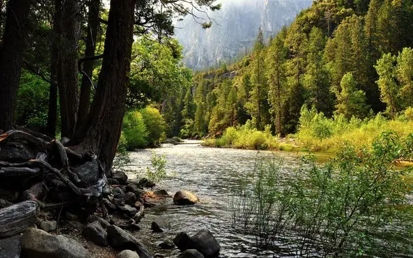 River in California, USA