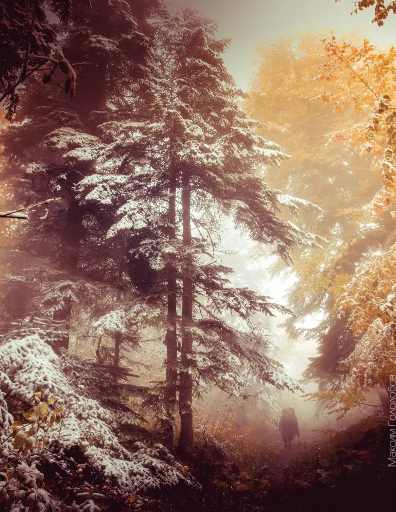 Golden autumn. Nature park Thach