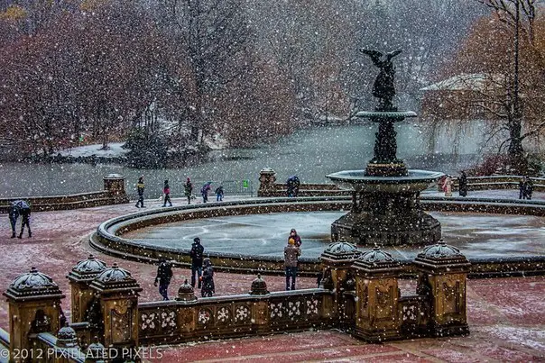 Перший сніг в Центральному парку, Нью-Йорк