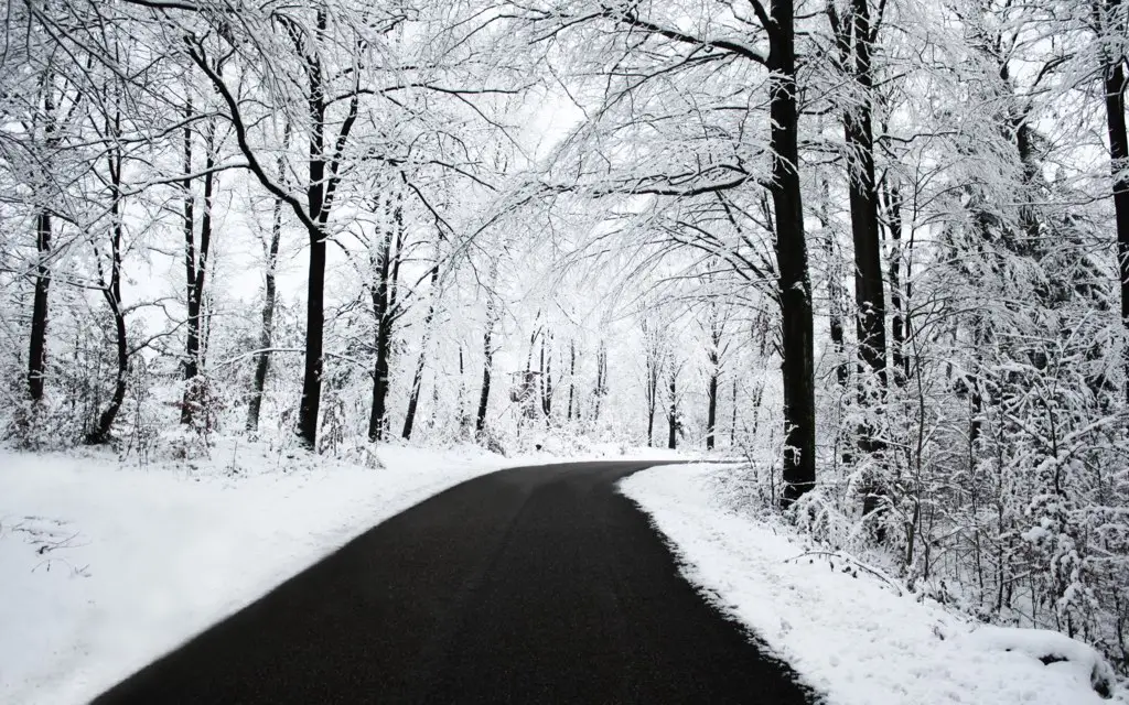 Road in the winter forest, Norway