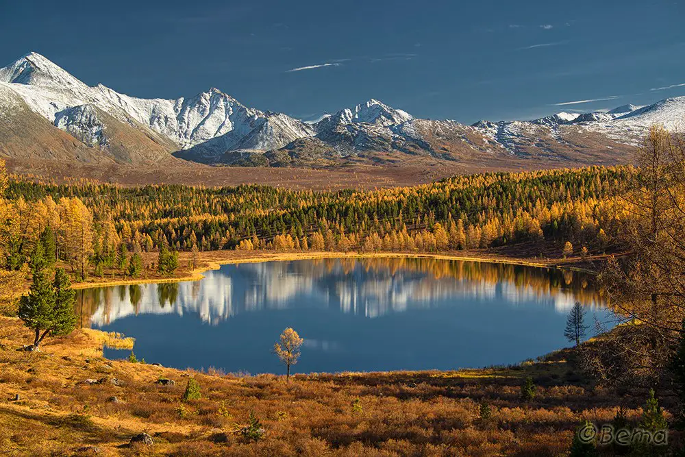 The Golden Autumn of Mountainous Altai.