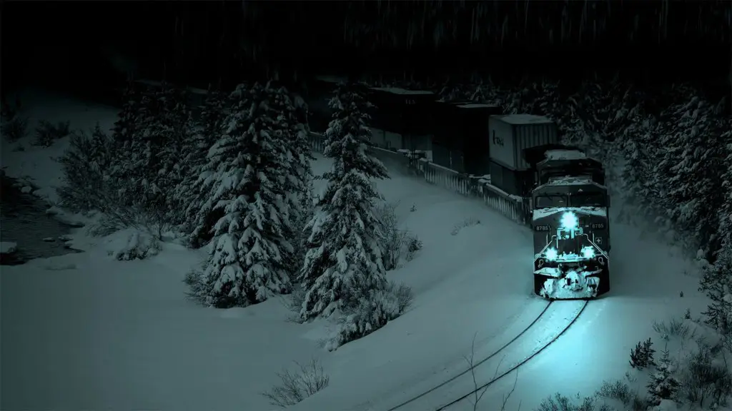 The train travels through the snow forest