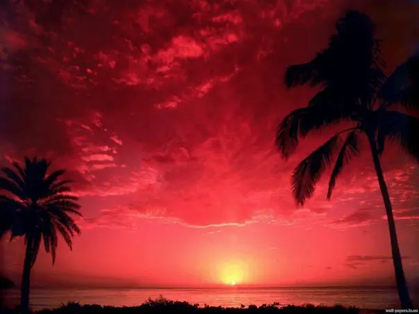 Beautiful sunset in Hawaii