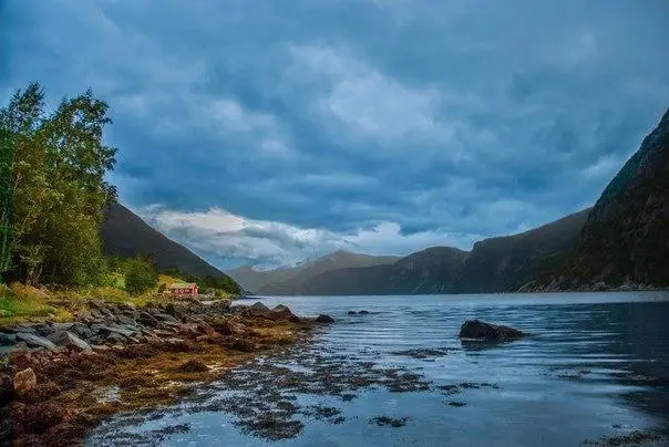 Fjord on the coast