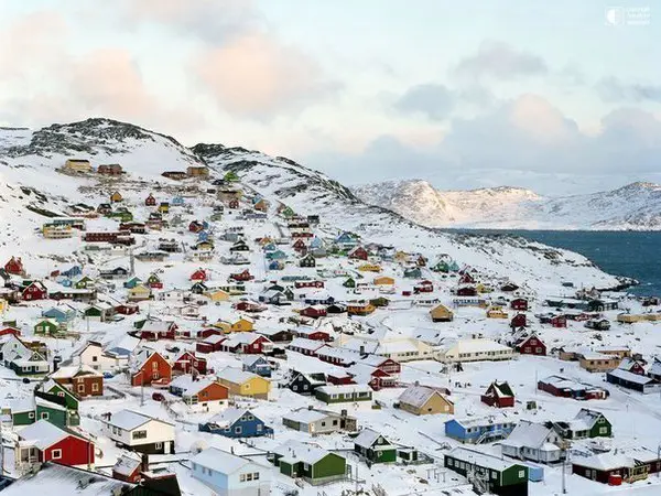 Ilulissat species