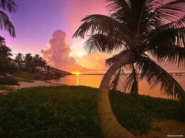 Sunset on the beach, Florida