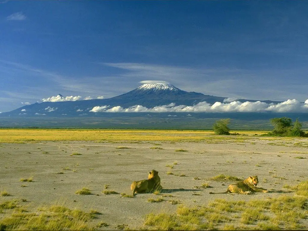 Kilimanjaro, Tanzania, Africa