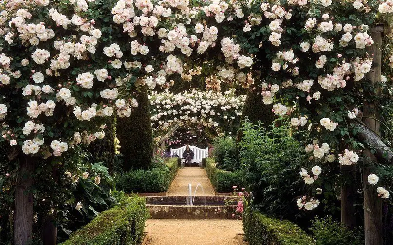 Rose Garden in Hampshire, United Kingdom