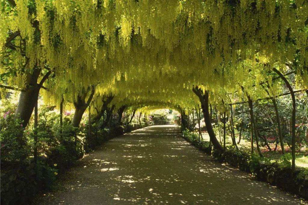 Arch in Bodnant Garden, United Kingdom