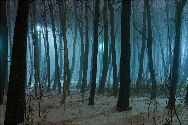 Вечерний парк, Северодвинск, Россия