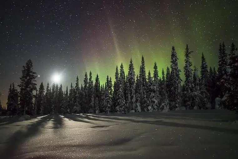Northern lights above the forest, Norway