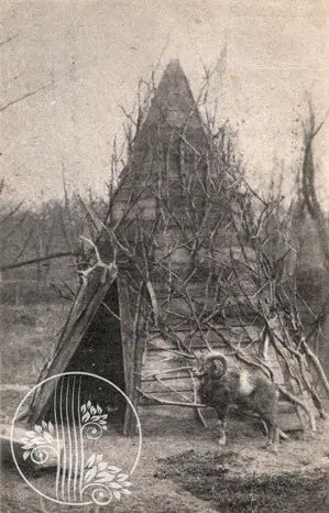 Kharkiv Zoo of the last century