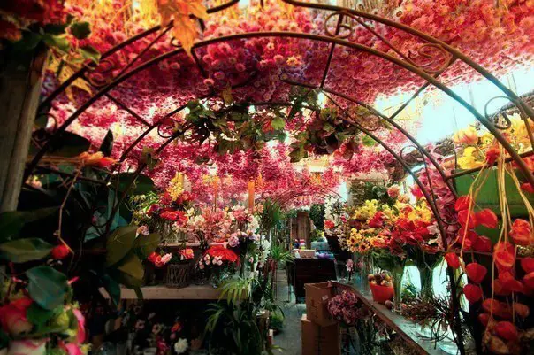 Flower shop in Amsterdam, Netherlands