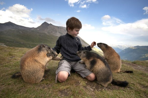 Eight-year-old Matteo Walch and marmots