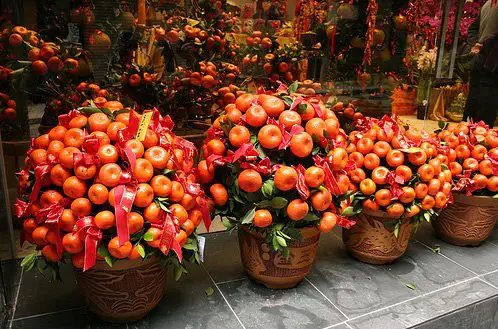 Китайский Новый Год