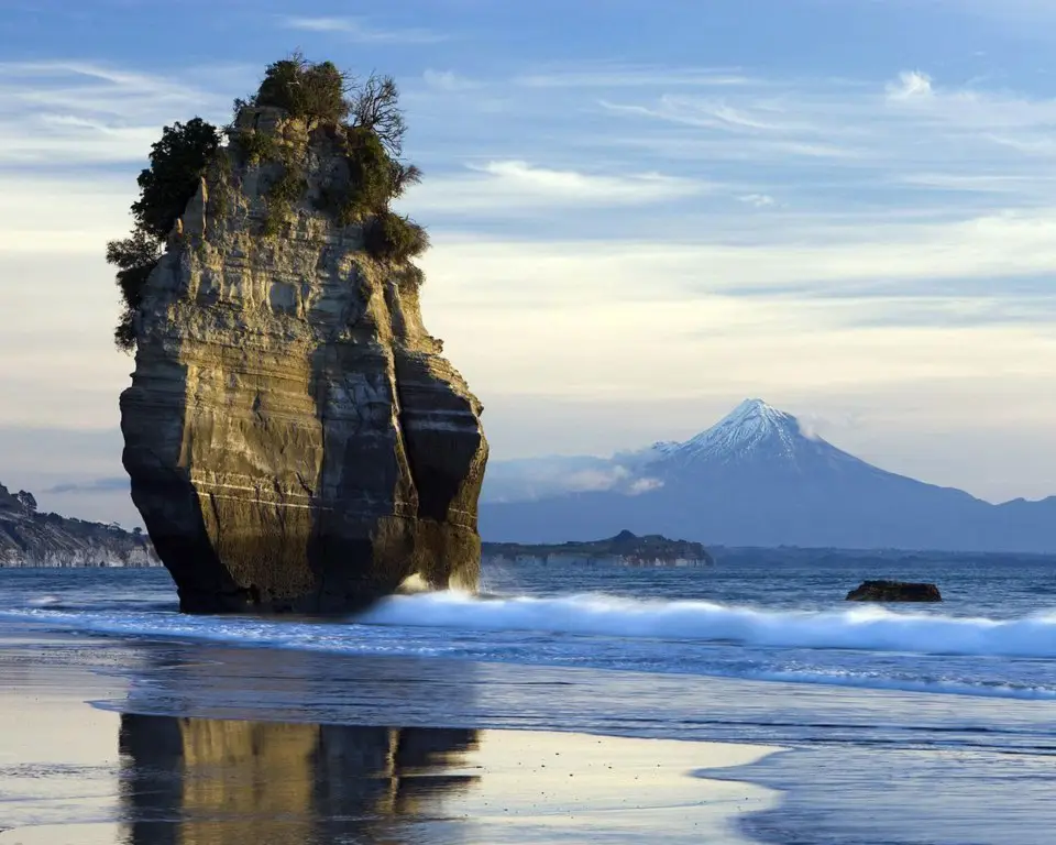 On the coast of the North Island, New Zealand