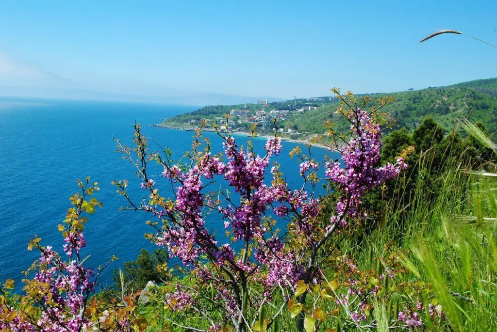 Весна в Крыму
