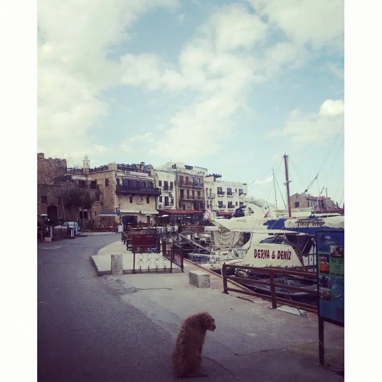 Cyprus