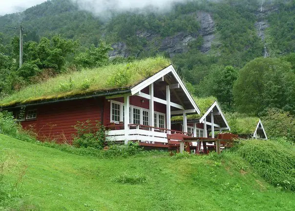 Herbal roofs of houses, Norway