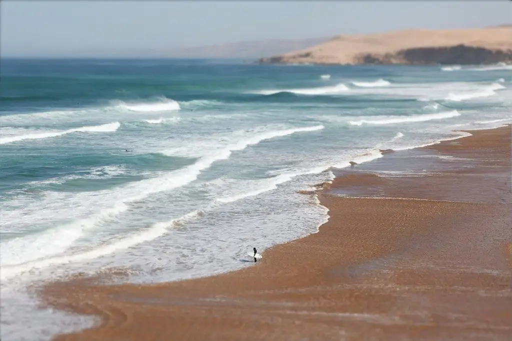Surfer on the coast, Porto Covo, Portugal