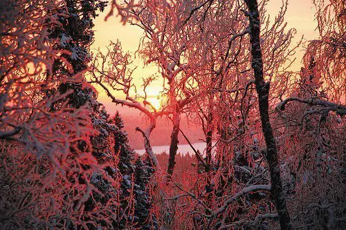Winter sunset, Russia