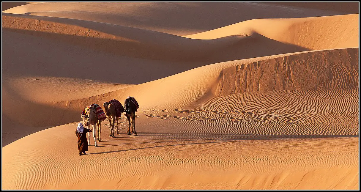 Tea with tuaregami