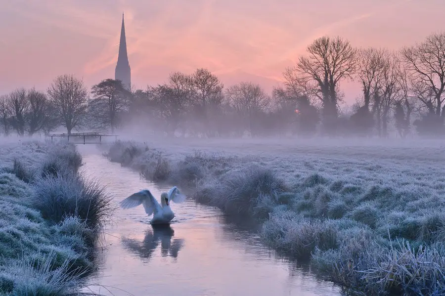 Early morning in Wiltshire, United Kingdom