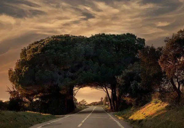 Unusual green arch, Portugal