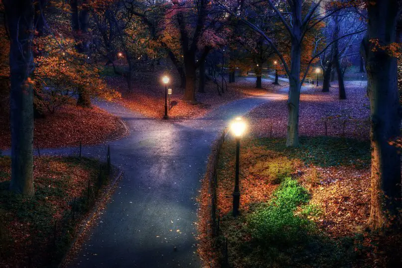 Night in Central Park, New York, USA