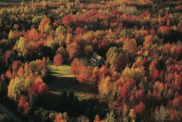A Lone House in the Woods, Washington State, USA
