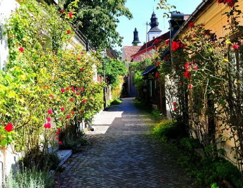 Красивые улицы мира