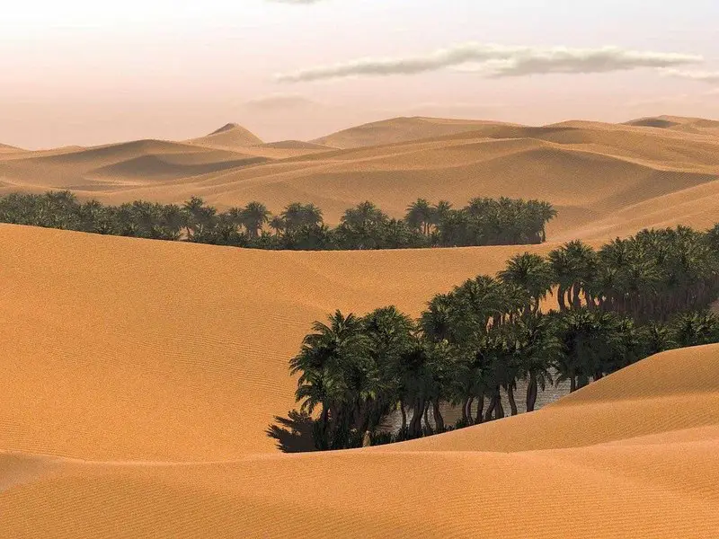 The enchanting beauty of the desert.