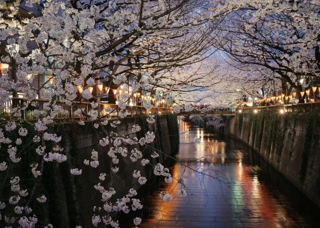 Street in the area of ​​Meguro, Tokyo, Japan